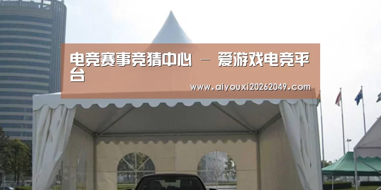 案例标题八