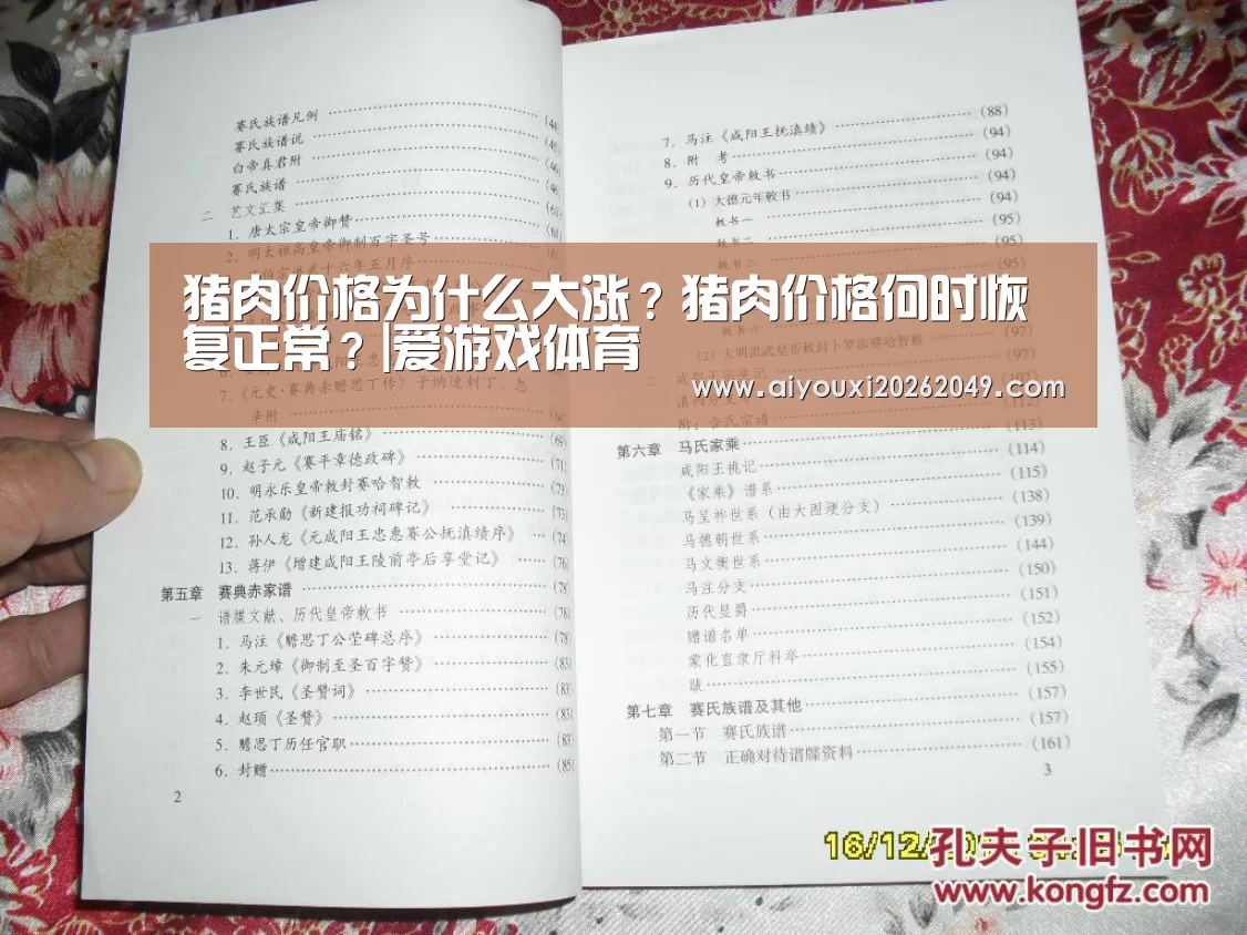 爱游戏视讯