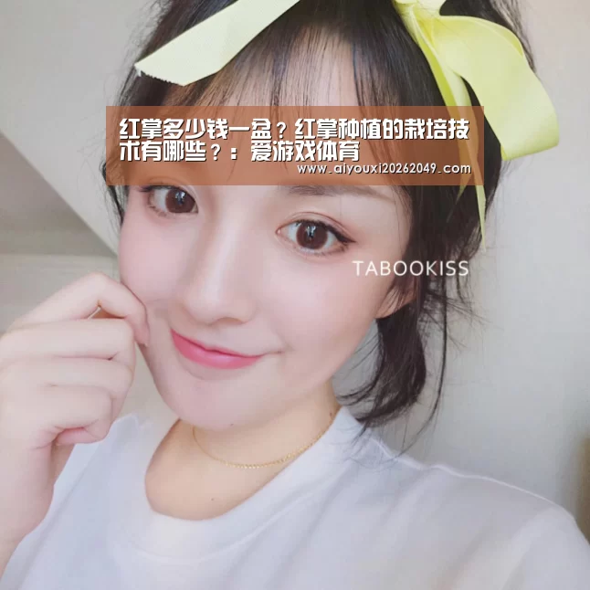爱游戏体育