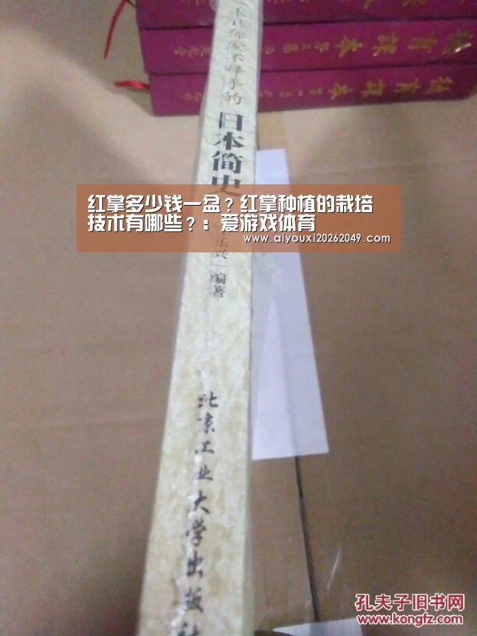 爱游戏百家乐