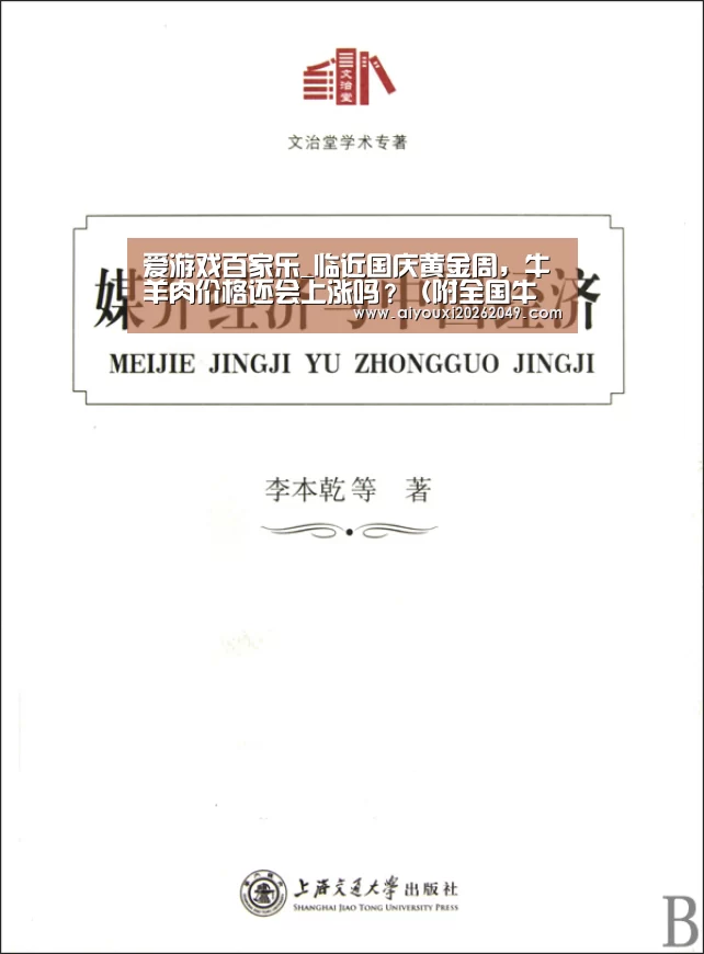 爱游戏视讯