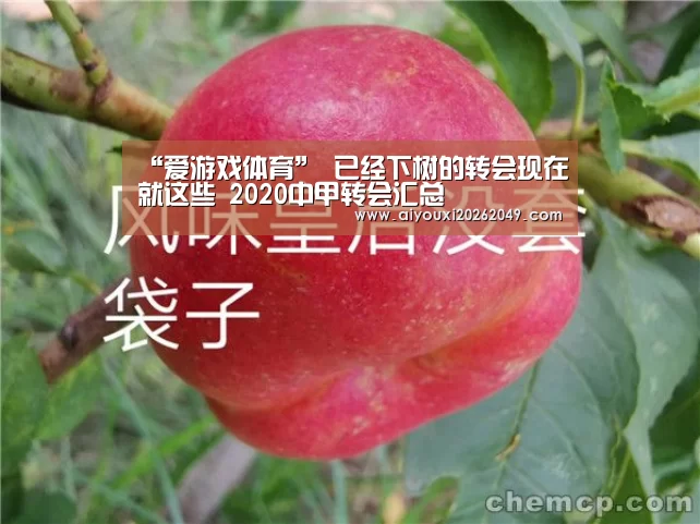 爱游戏体育
