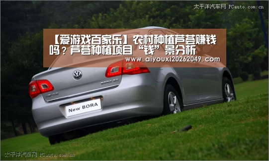爱游戏官网