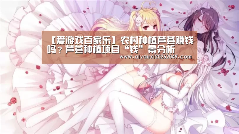 爱游戏百家乐