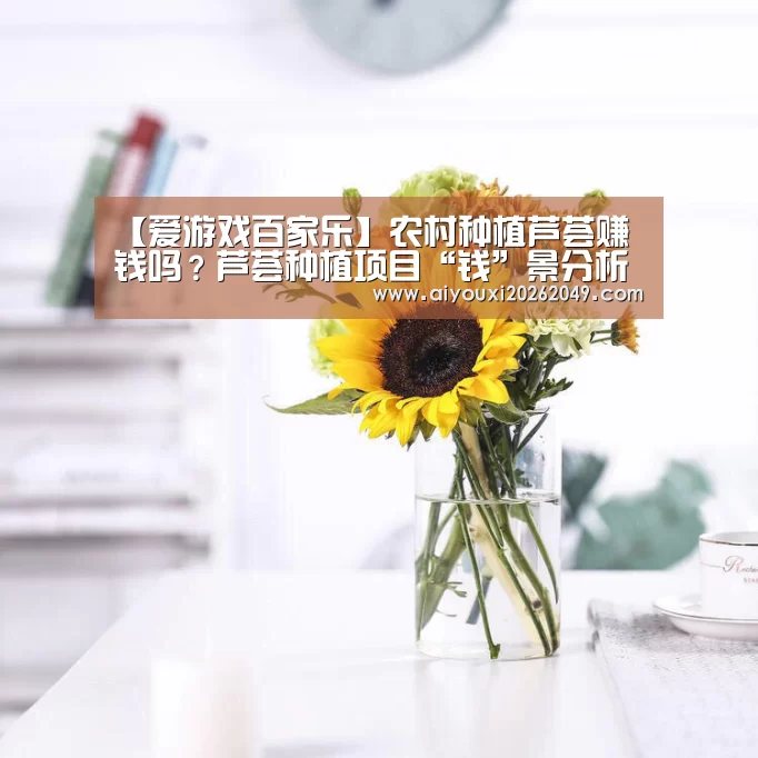 爱游戏百家乐