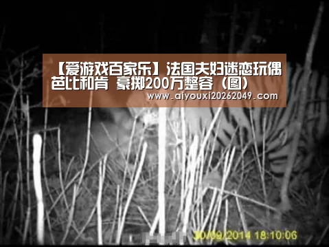 爱游戏百家乐