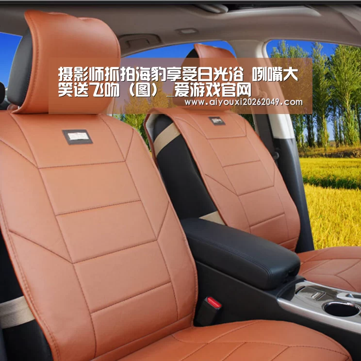 爱游戏官网