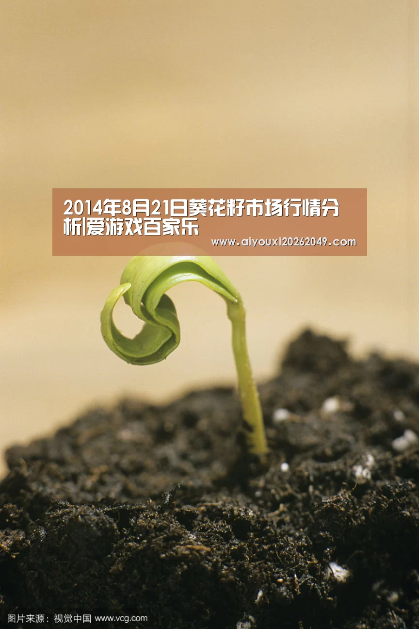 爱游戏体育